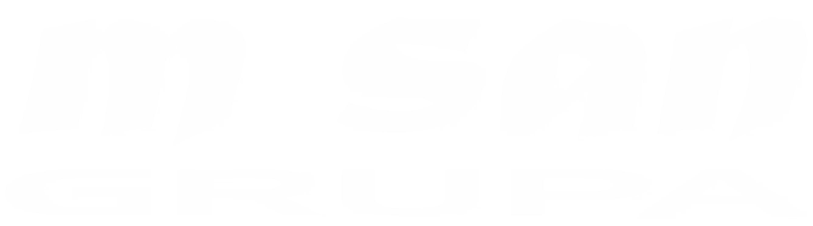 MSan Grupa logo